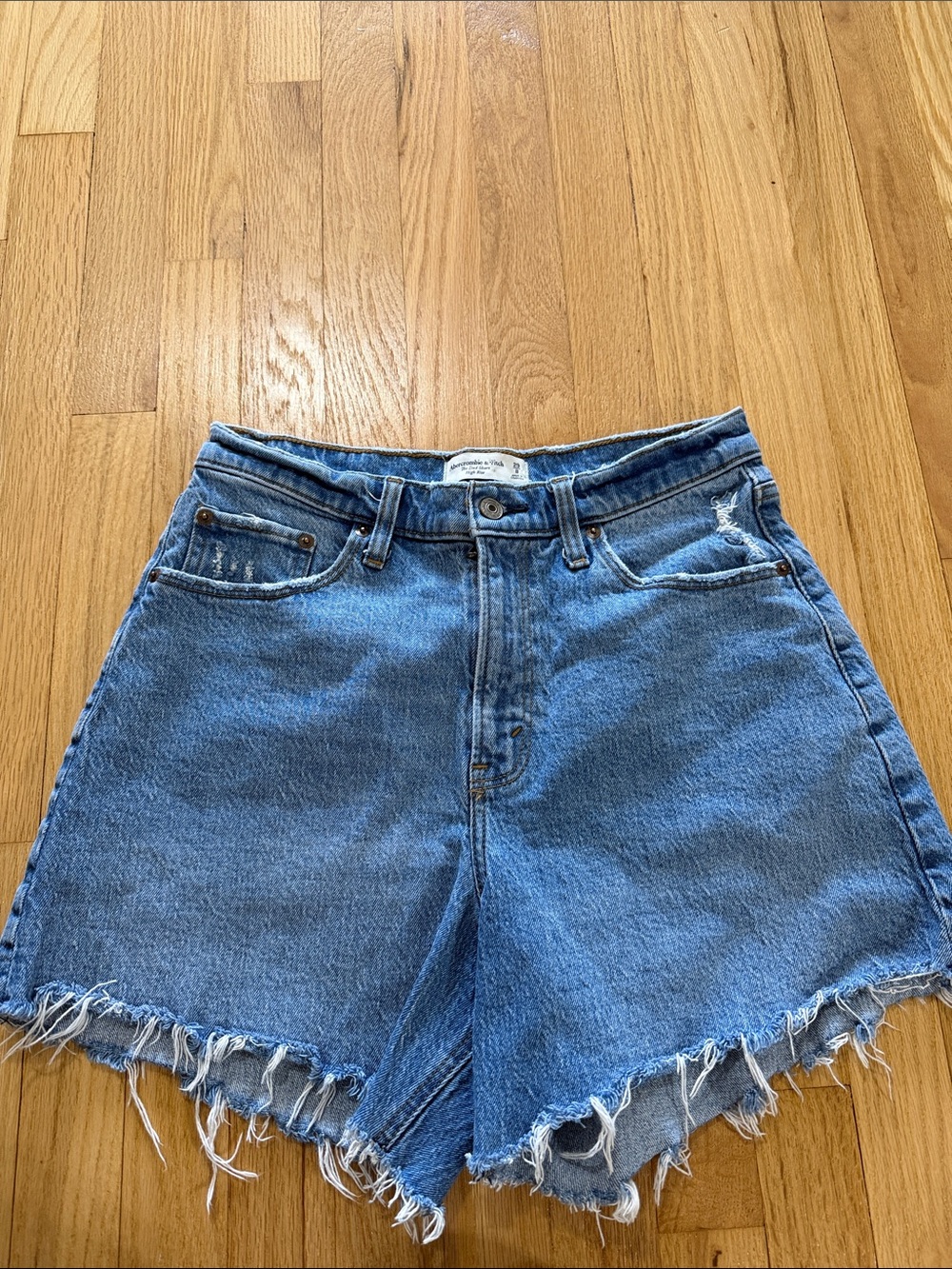 Abercrombie & Fitch Curve Love The Dad Short High Rise Sz 8/29
